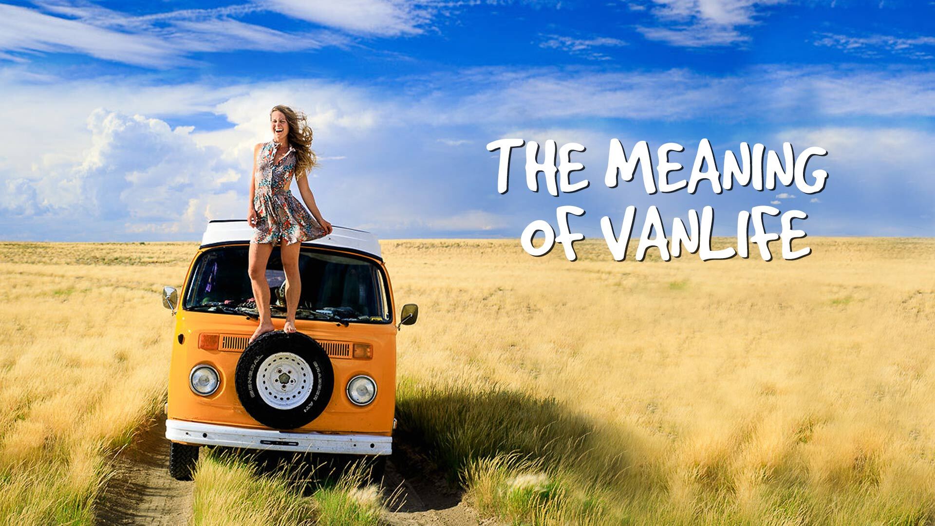 ვენლაიფის”  მნიშვნელობა  ქართულად -  The Meaning of Vanlife