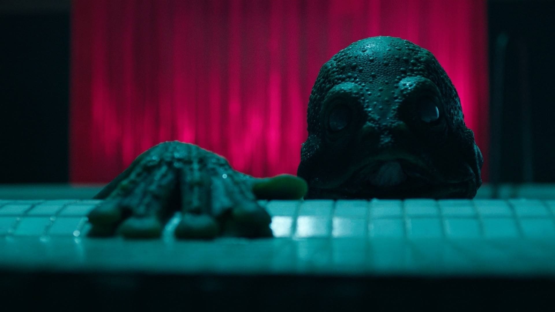 უცნობი  ქართულად -  Stranger