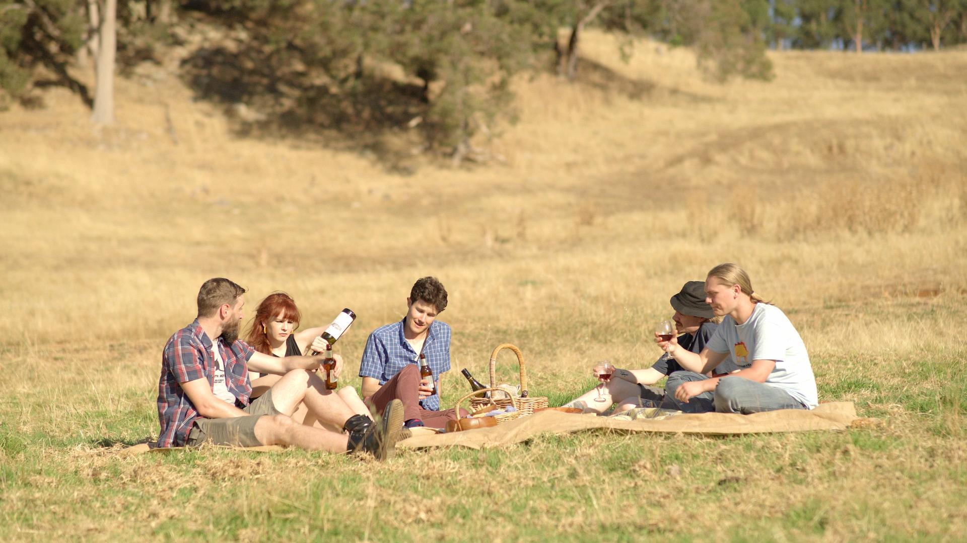 იდეალური მასპინძელი  ქართულად -  An Ideal Host