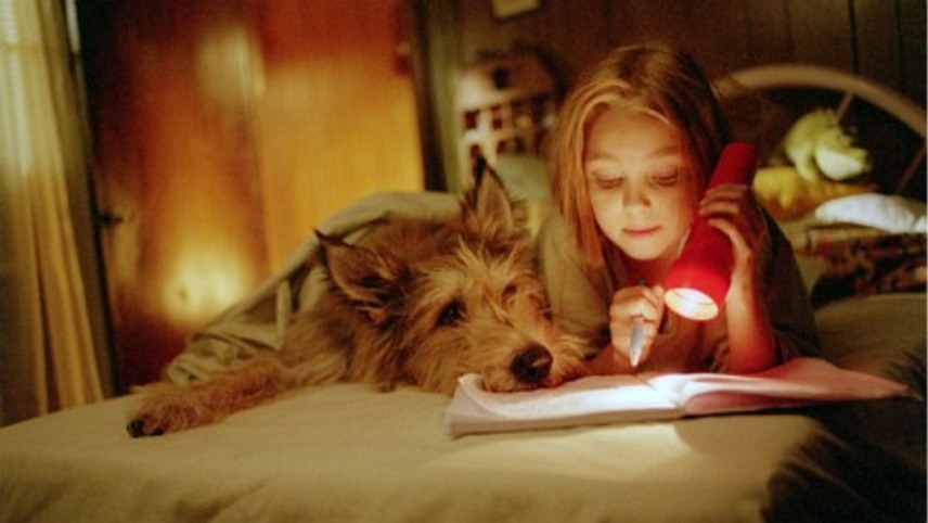 ვინ დიქსის წყალობით  ქართულად -  Because of Winn-Dixie