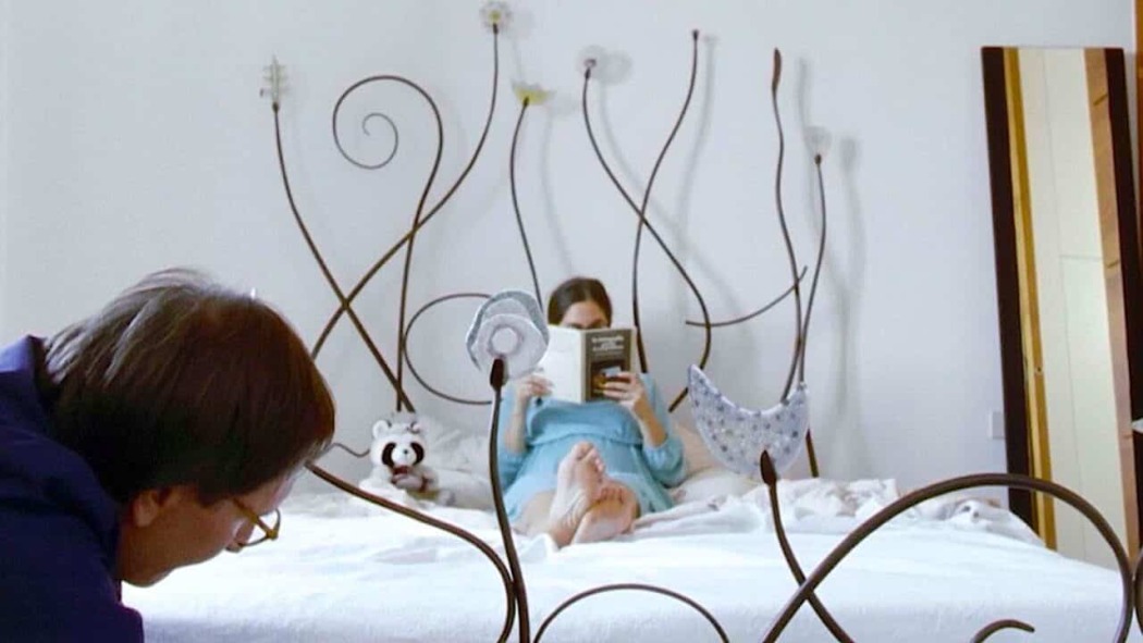 დულსინეა  ქართულად -  Dulcinea