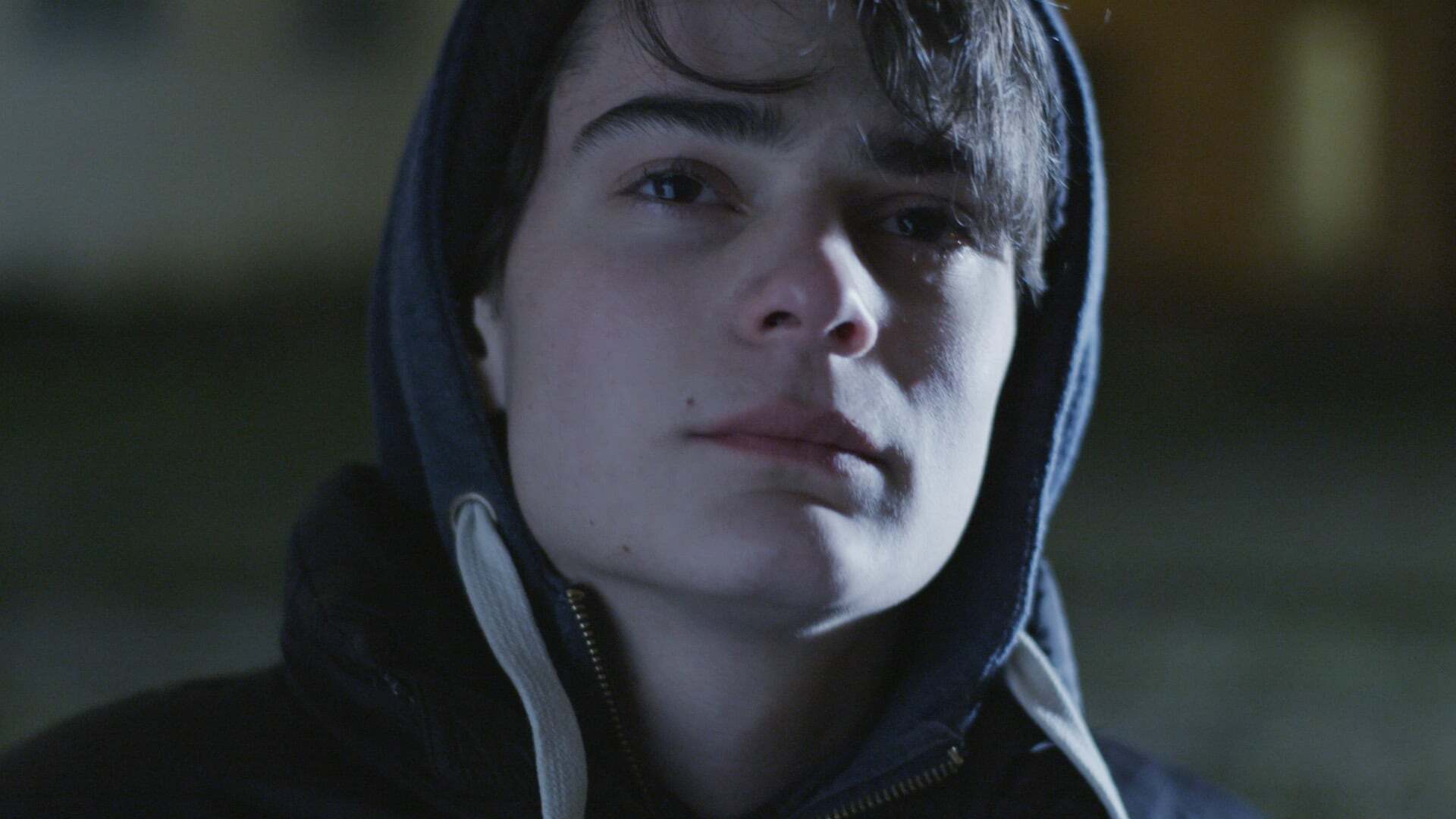 თავშეკავებული  ქართულად -  Abstinent