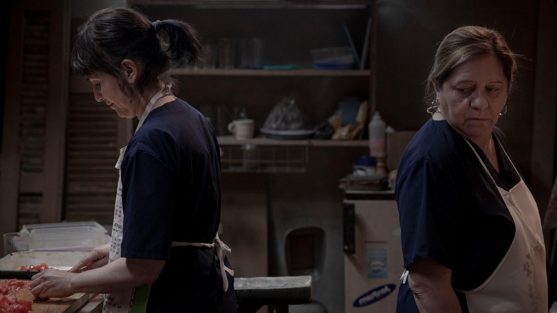 მუდმივი მცენარე  ქართულად -  Planta permanente