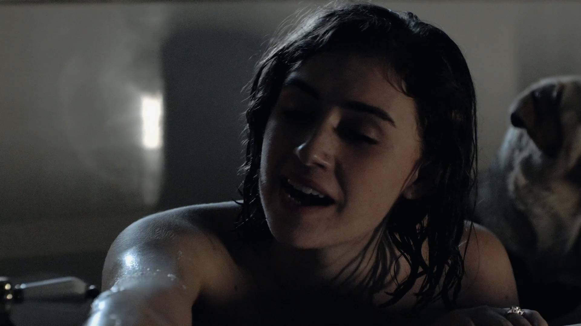 კომპანიონი  ქართულად -  Companion