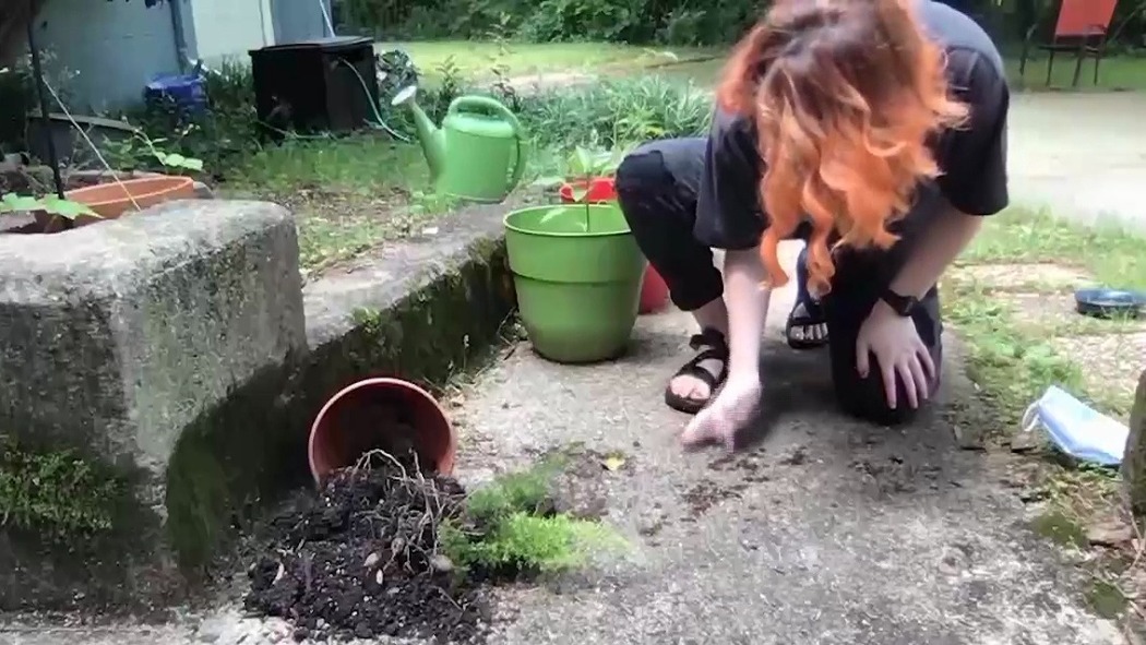 ცუდი ბენი: პანდემია  ქართულად -  Bad Ben: Pandemic