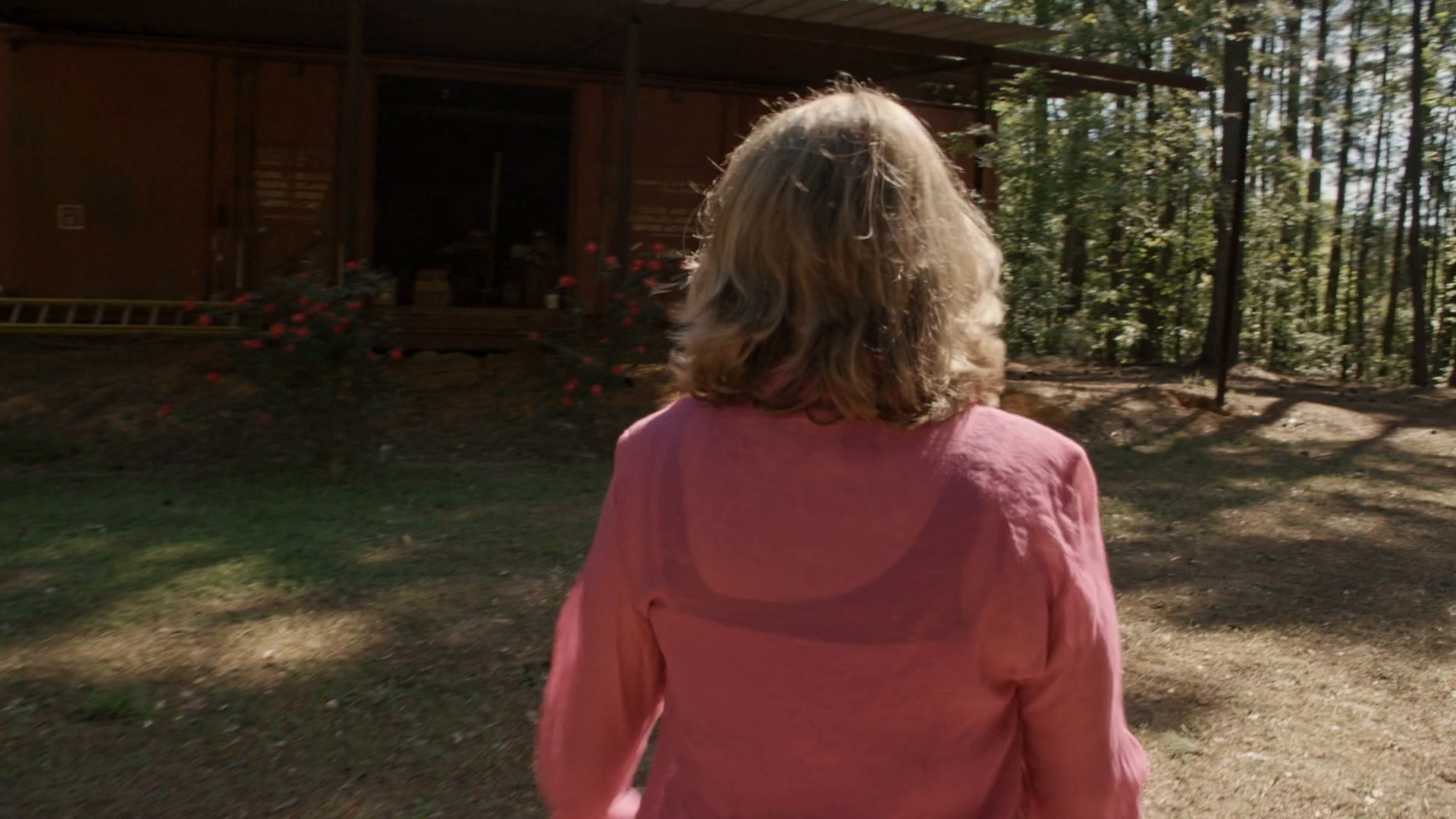 ბრძოლა მორჯელონზე  ქართულად -  Skin Deep: The Battle Over Morgellons