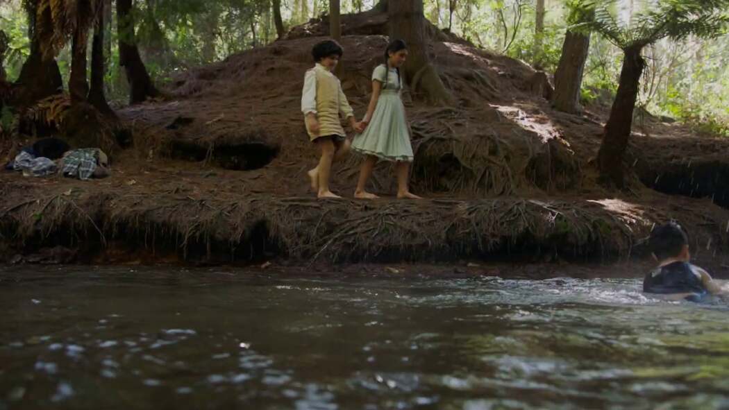 ბიძაშვილები  ქართულად -  Cousins