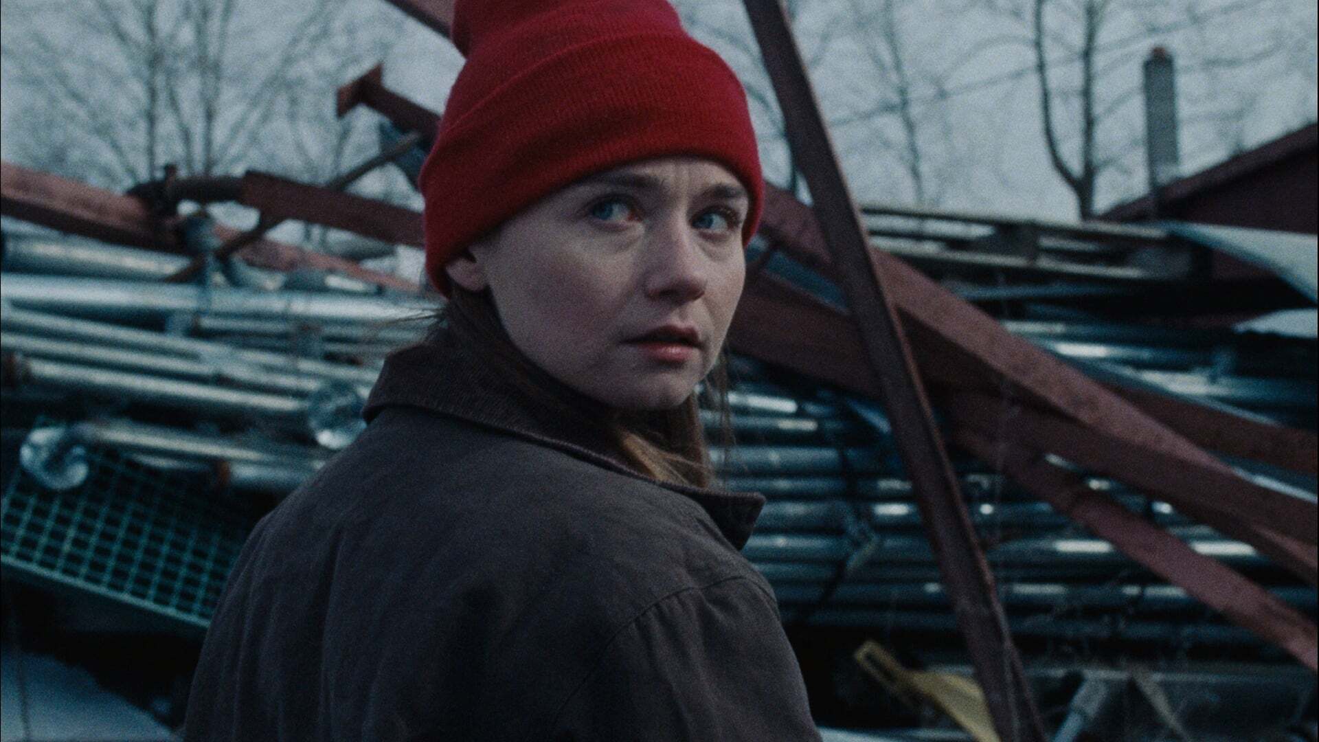 ჰოლერი  ქართულად -  Holler