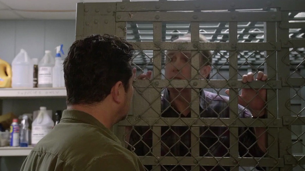 მიმდევარი  ქართულად -  The Follower