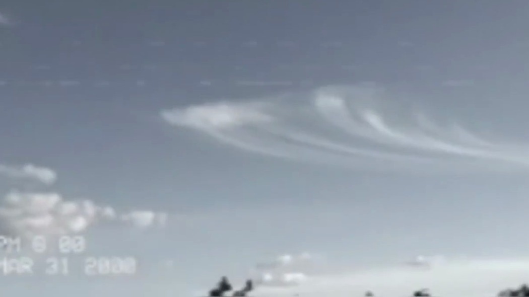 პარანოიდული ჩანაწერები 7  ქართულად -  Paranoia Tapes 7: Felts Field