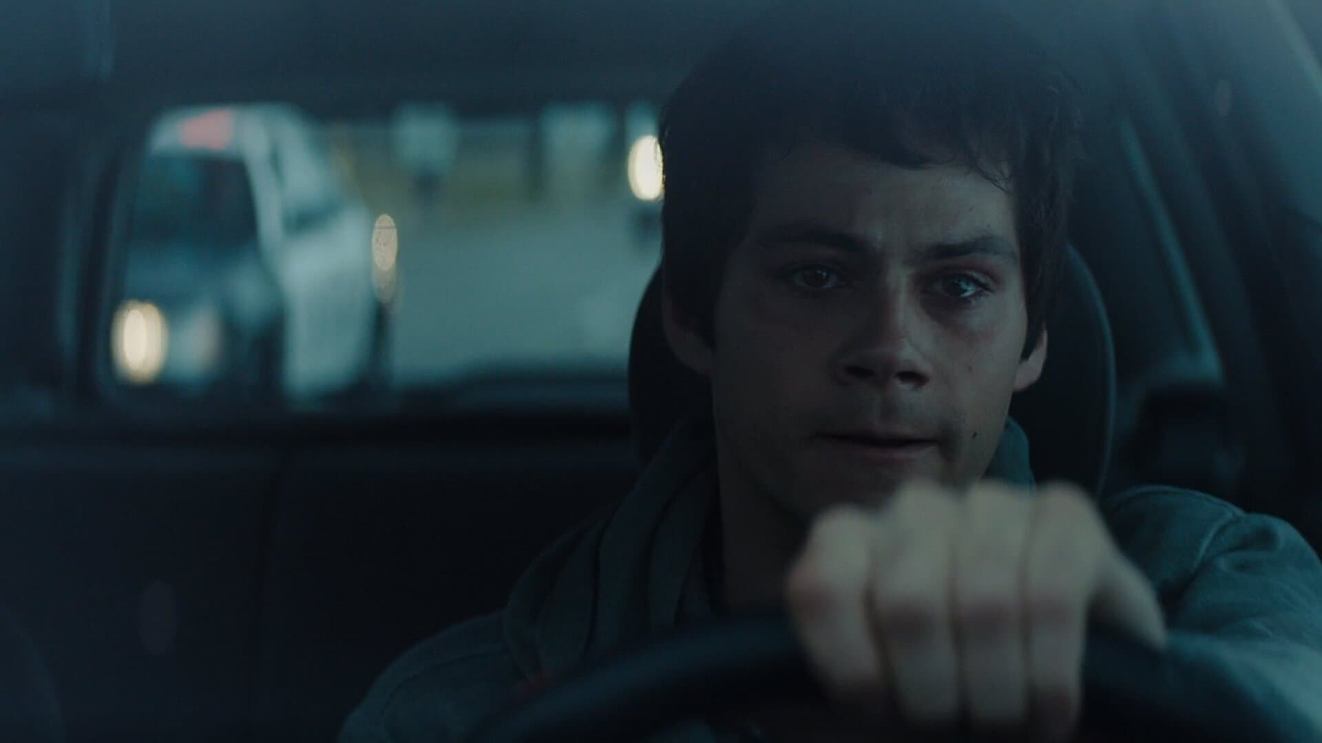 ფრედერიკ ფიტცელის განათლება  ქართულად -  The Education of Fredrick Fitzell