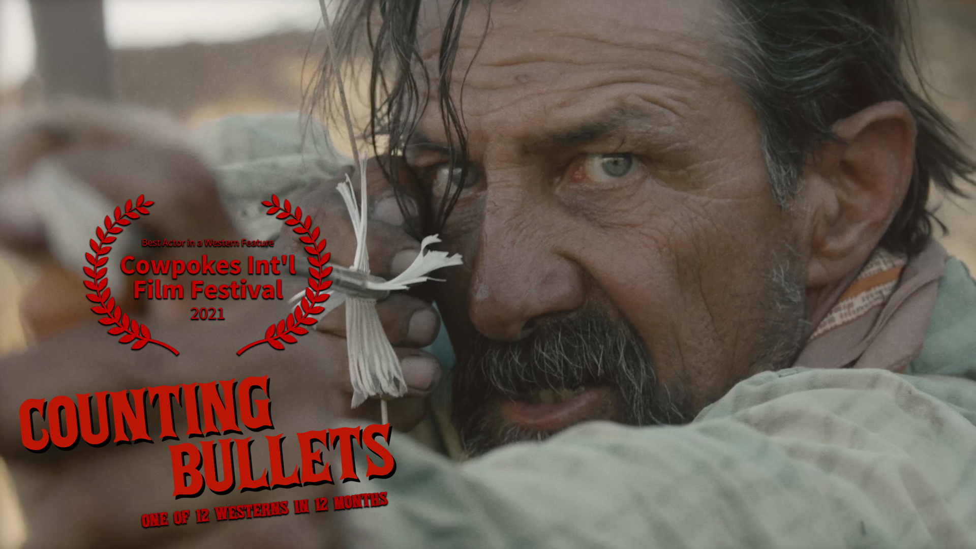 ტყვიები მიზანში  ქართულად -  Counting Bullets