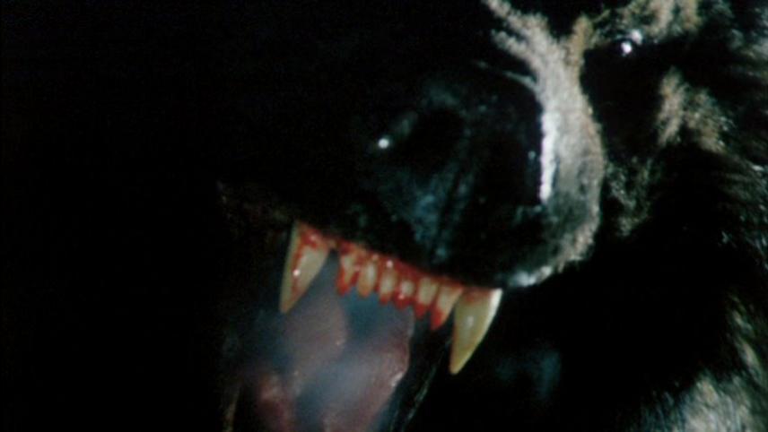 Rimeinzu: Utsukushiki yuusha-tachi