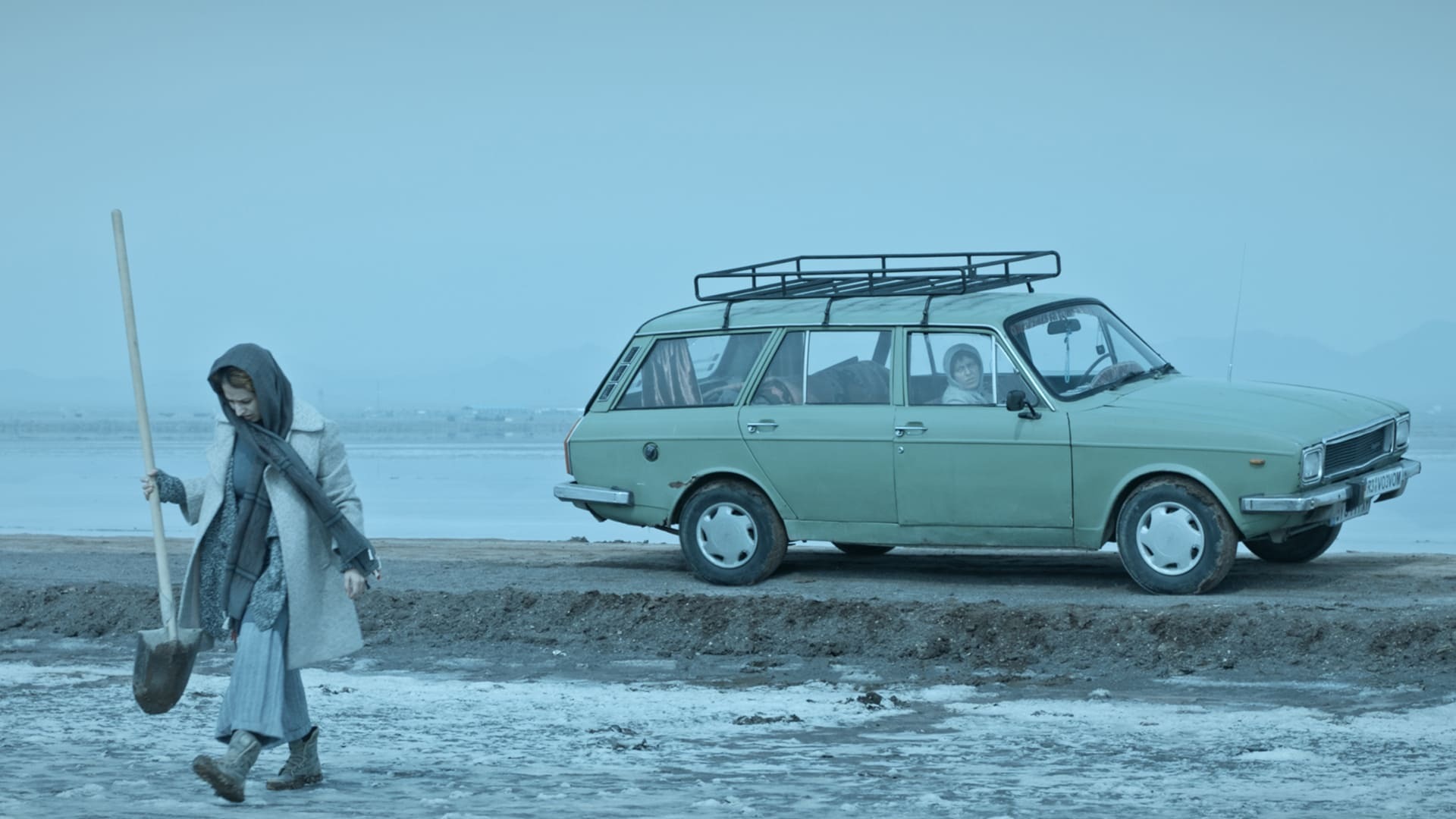 ბოტოქსი  ქართულად -  Botox