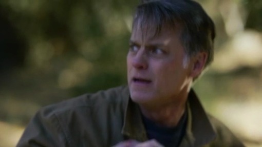 დაპყრობა უცხოპლანეტელთა მიერ  ქართულად -  Alien Conquest