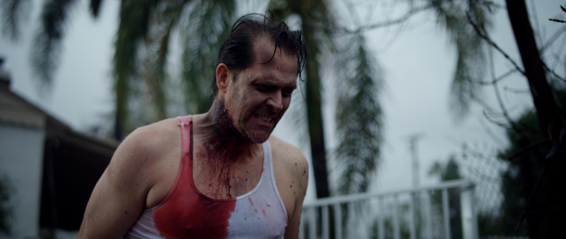 სიკვდილის უნიბლიე მაძებარი  ქართულად -  Digging to Death