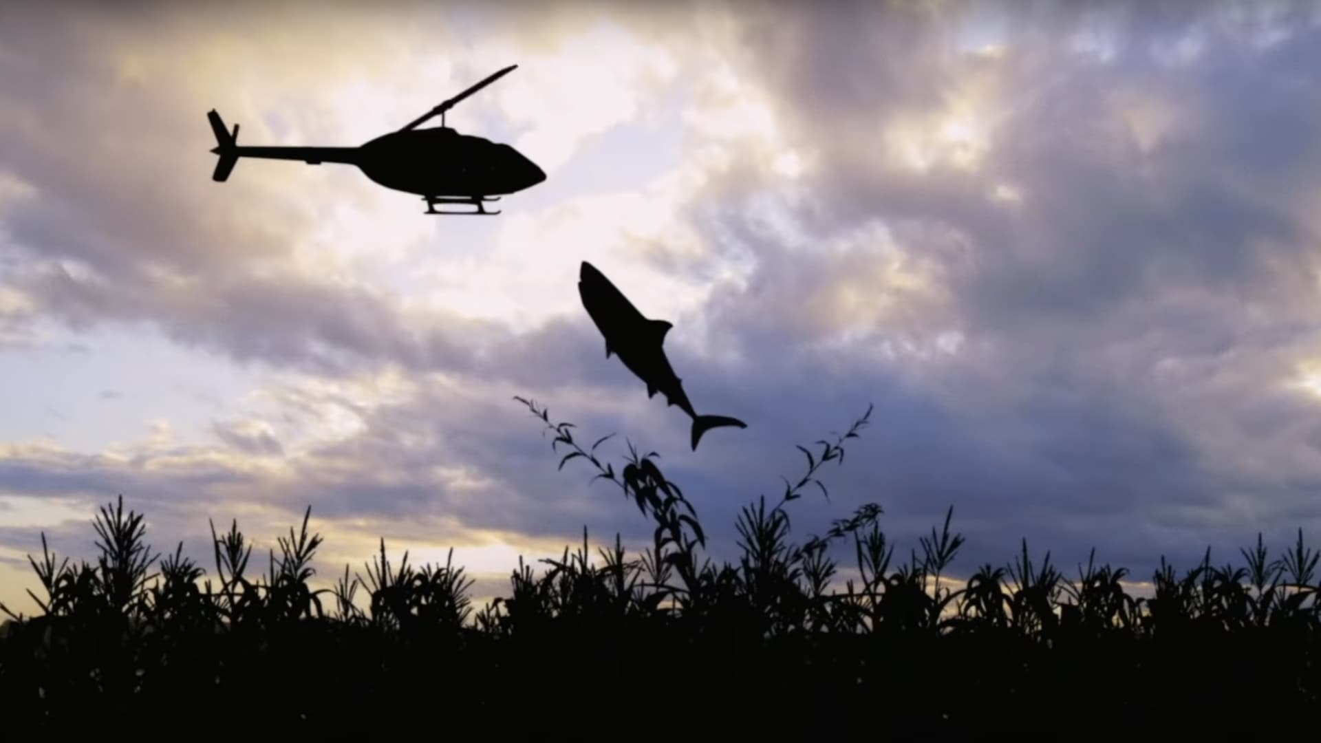 სიმინდის ყანის ზვიგენები  ქართულად -  Sharks of the Corn