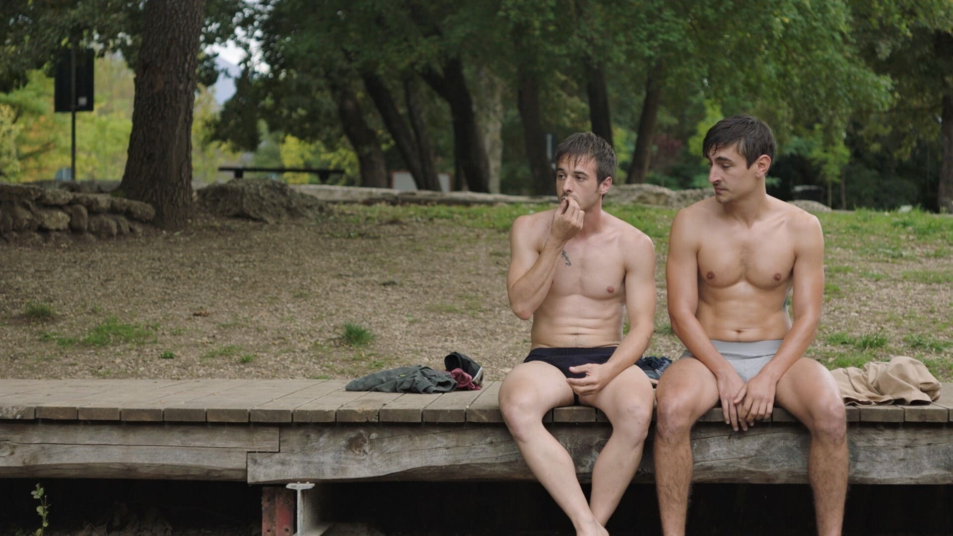 კაცი პასუხებით  ქართულად -  The Man with the Answers