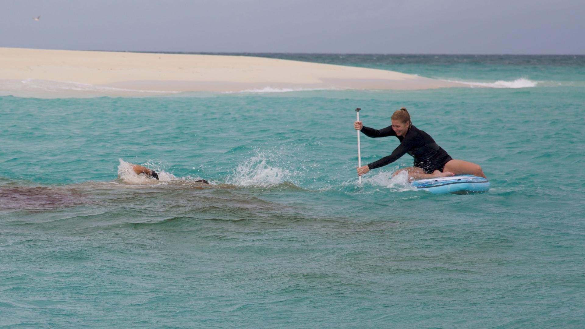 განსხვავებული ზვიგენი?  ქართულად -  Rogue Shark?