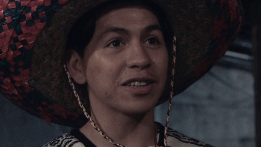 ჭურჭლის მრეცხავი  ქართულად -  The Dishwasher