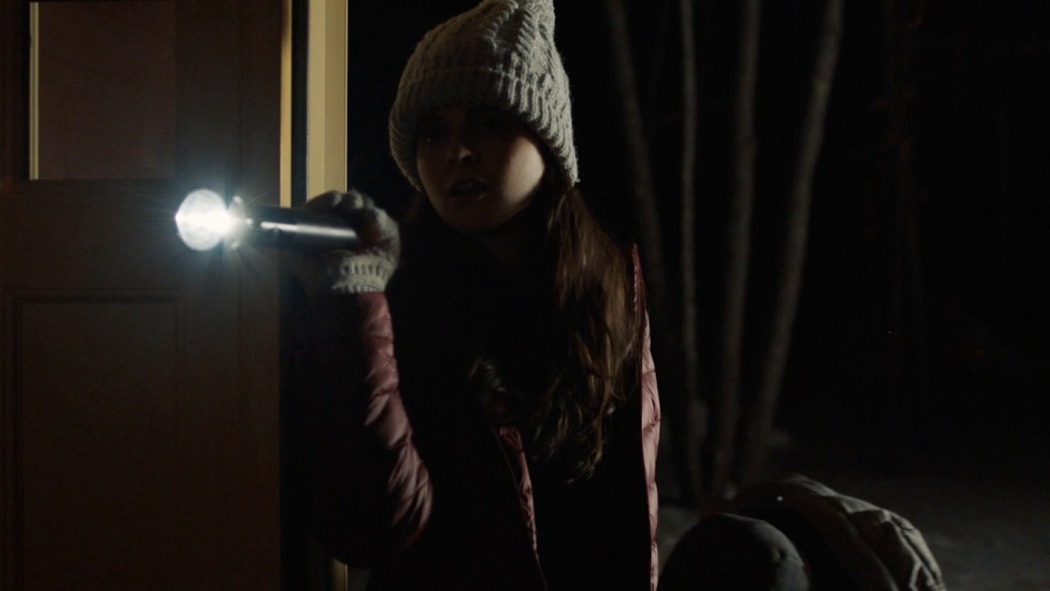 როგორ შევაჩეროთ მძარცველი  ქართულად -  How to Deter a Robber