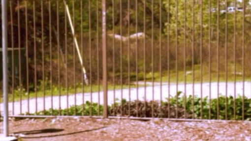 ნაწილებად დაჩეხილი  ქართულად -  Axed to Pieces