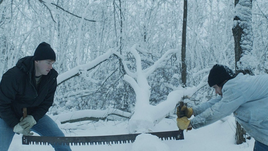 მერწყულები  ქართულად -  Aquarians