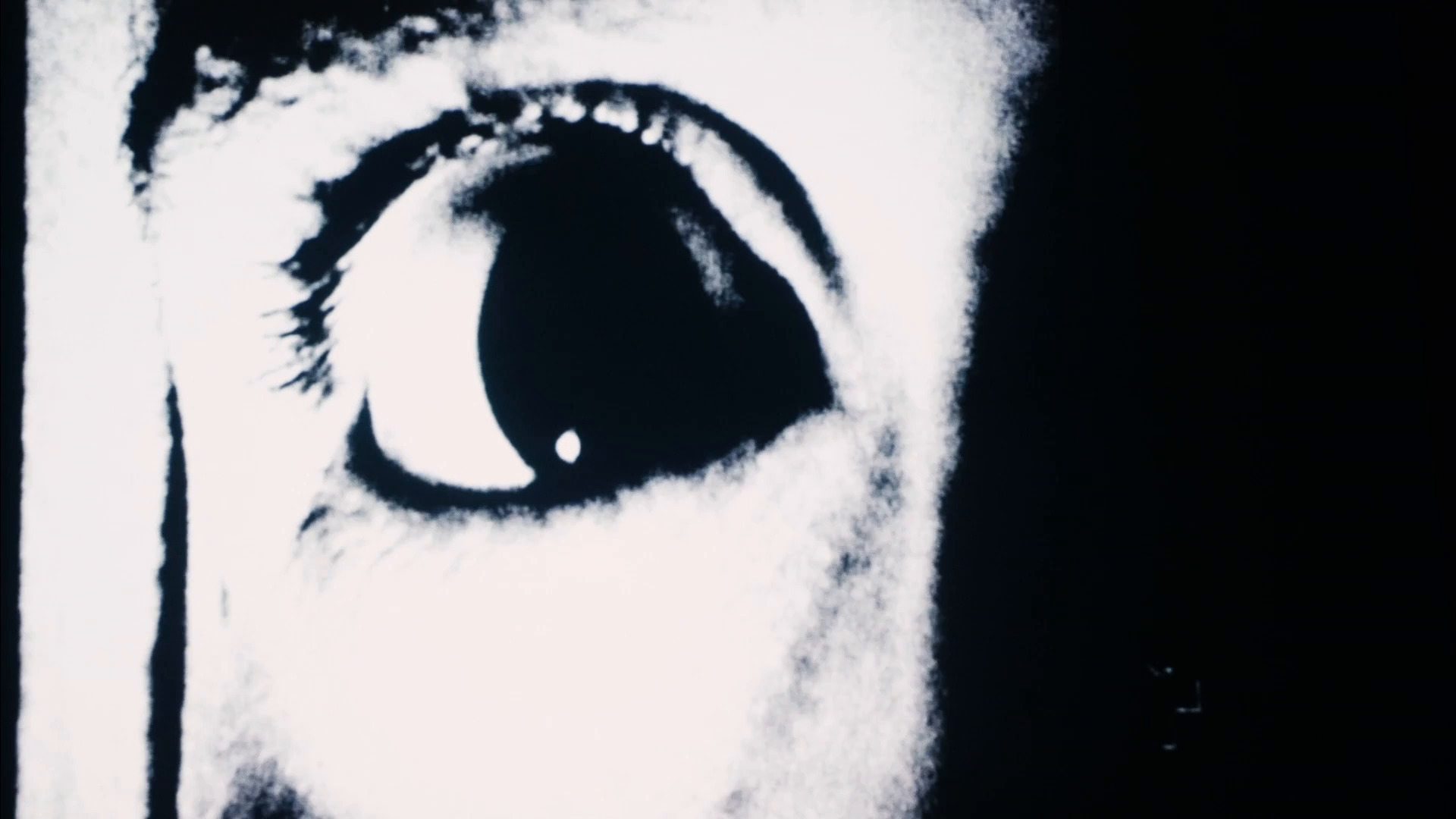 მემკვიდრე  ქართულად -  Heir