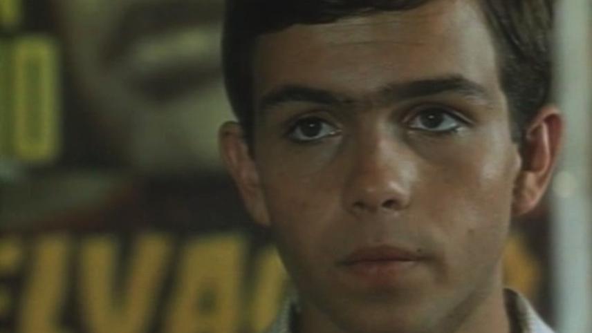 საყვარლები და სხვა ახლობლები  ქართულად -  Lovers and Other Relatives