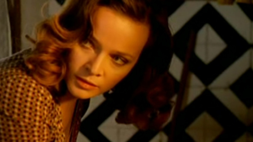 მავნე  ქართულად -  Malicious