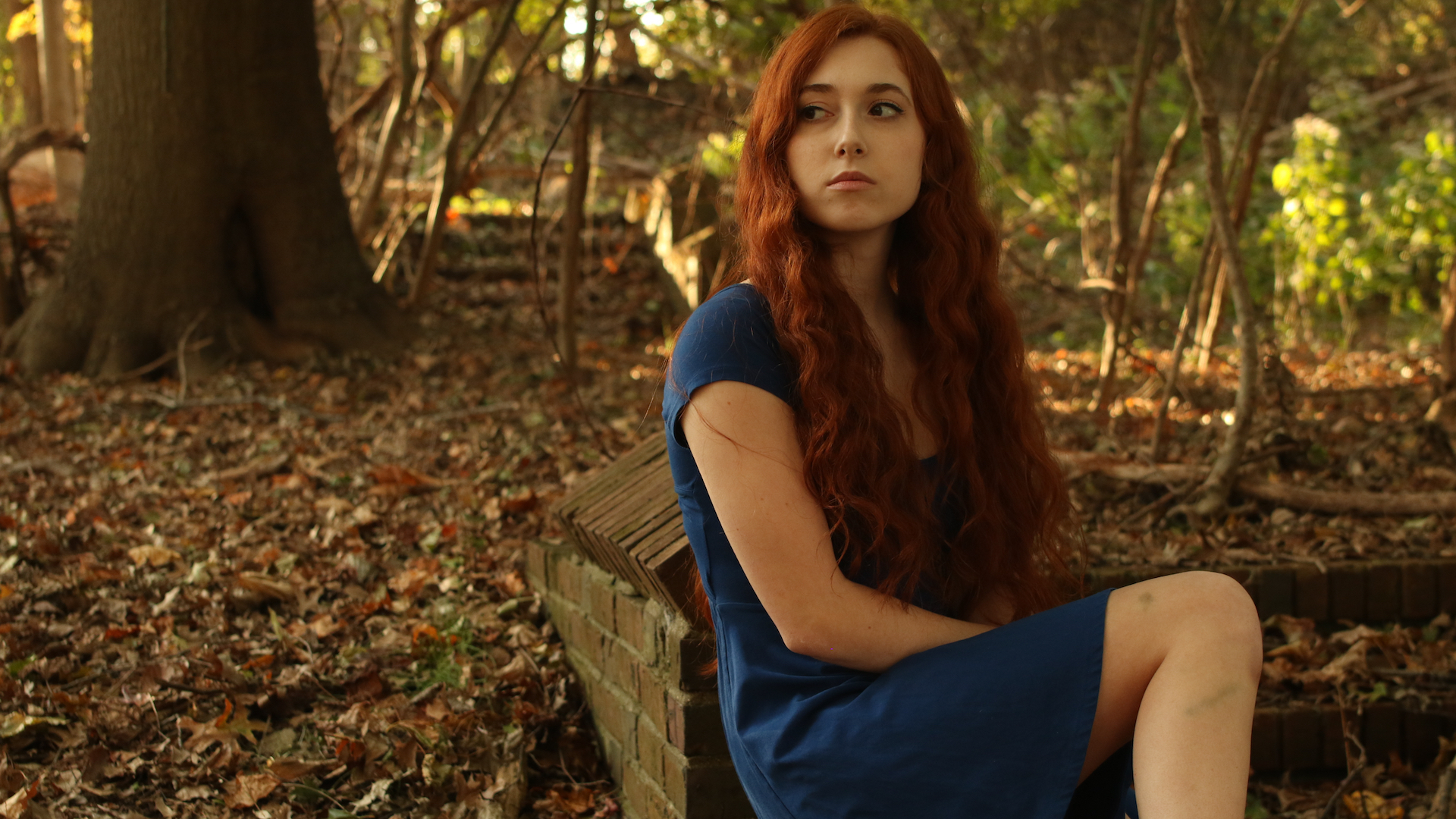 ეშმაკის ვალსი  ქართულად -  The Demons Waltz