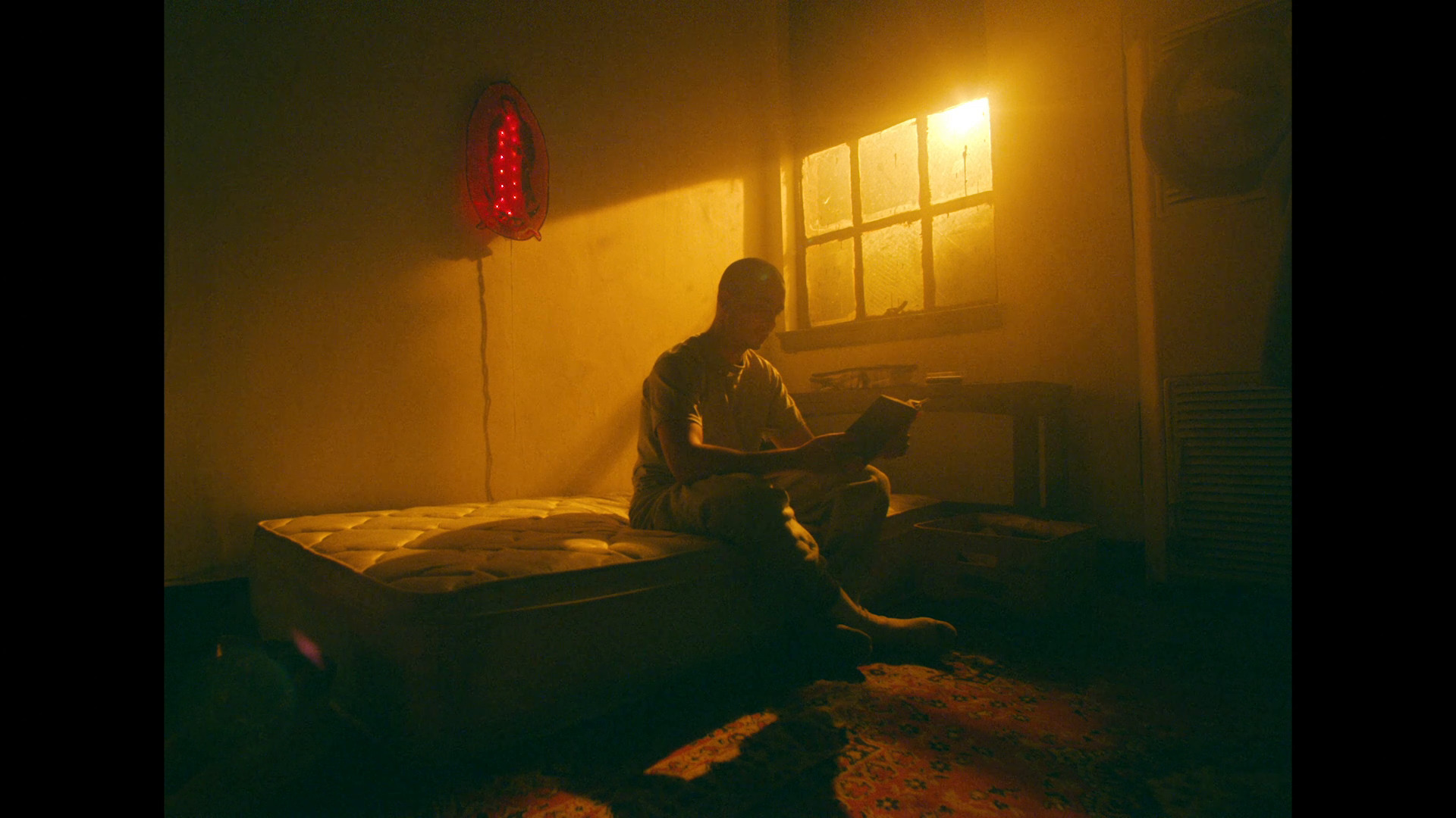 წარმატების ხუთი წესი  ქართულად -  The Five Rules of Success