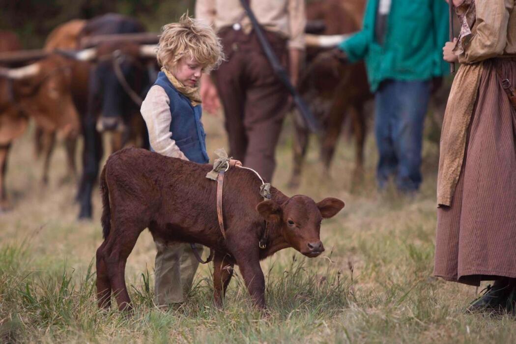 რახელ დი ბიერის ისტორია  ქართულად -  Storm Riders