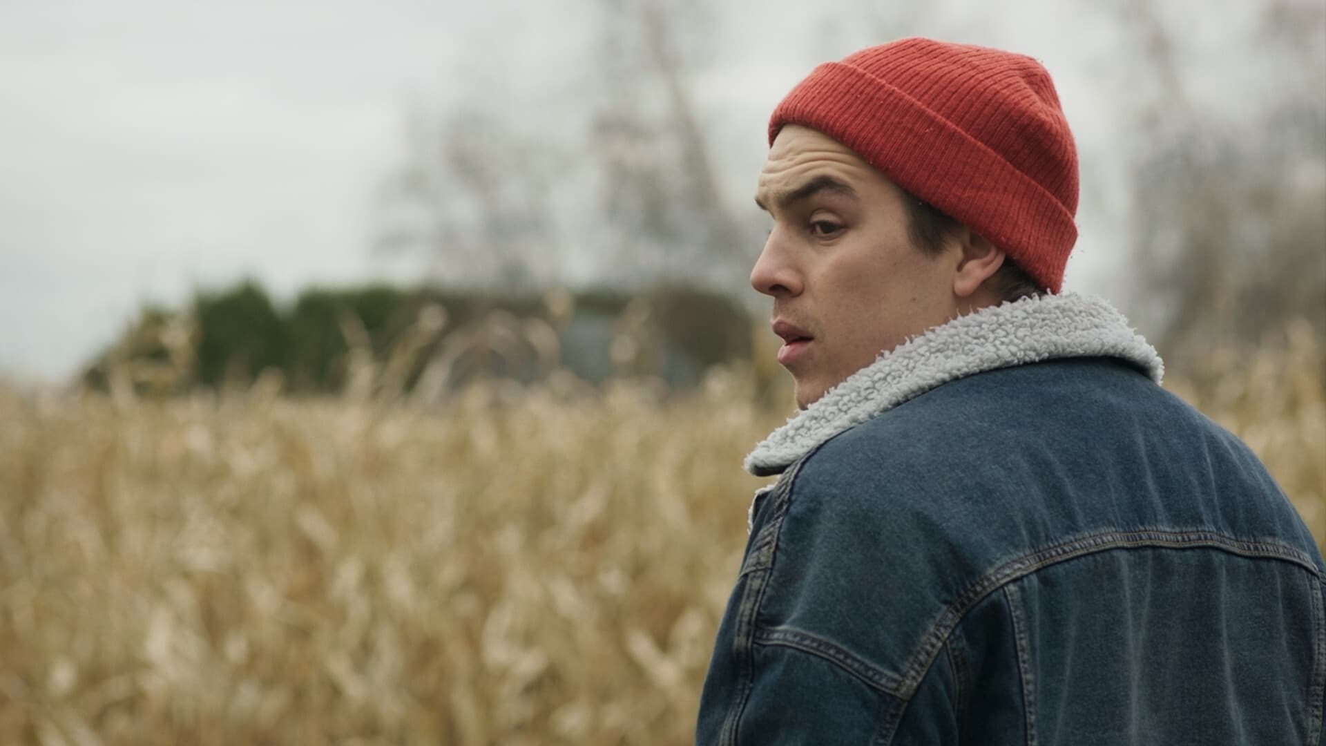 მარადმწვანე  ქართულად -  Evergreen