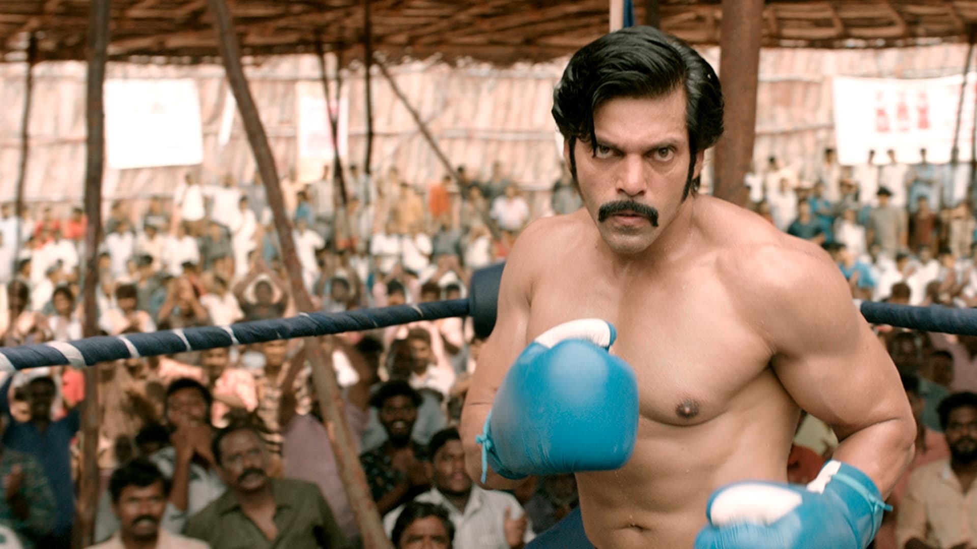 სარპატტა პარამბარაი  ქართულად -  Sarpatta Parambarai