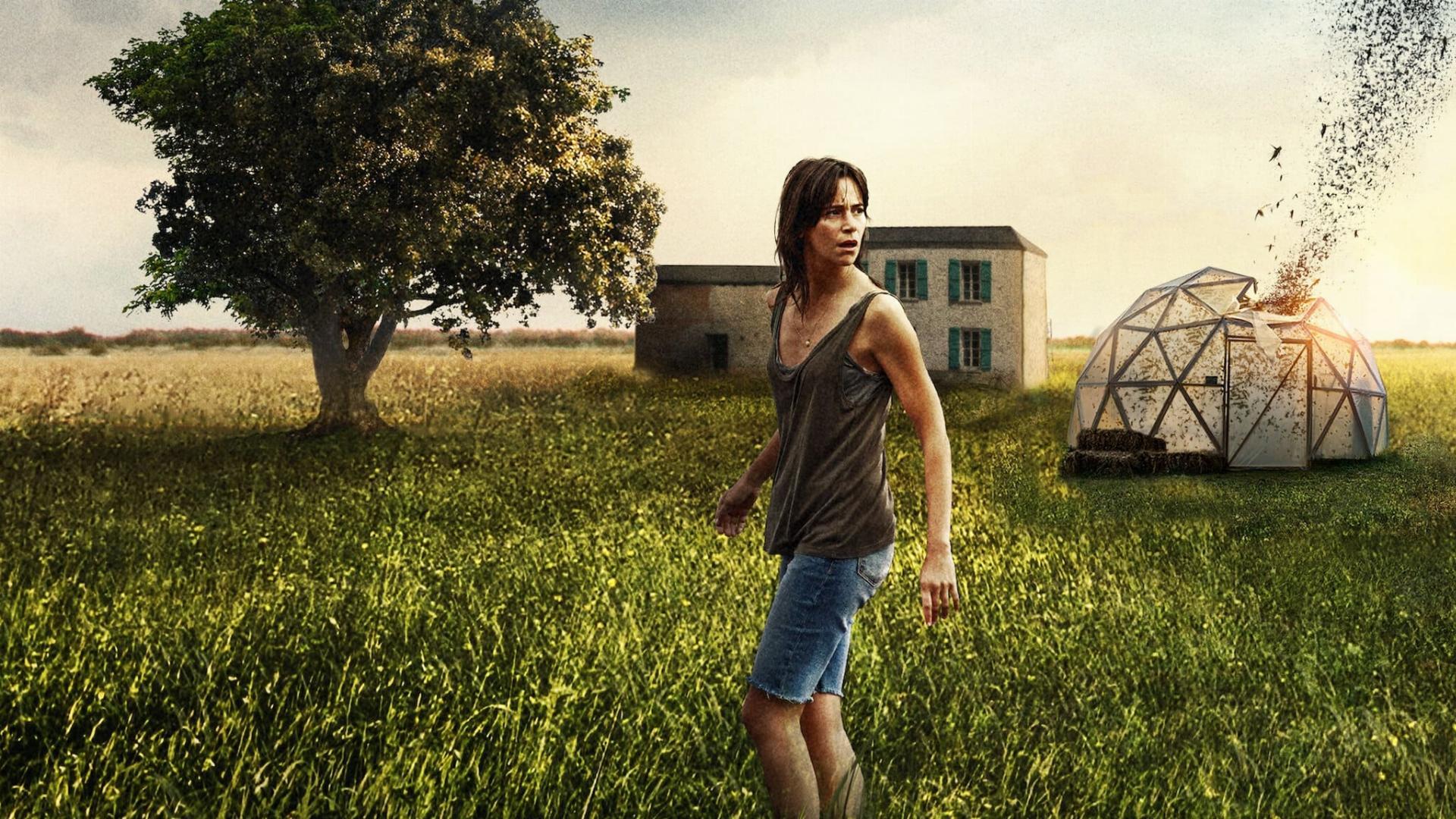 ფუთფუთი  ქართულად -  The Swarm