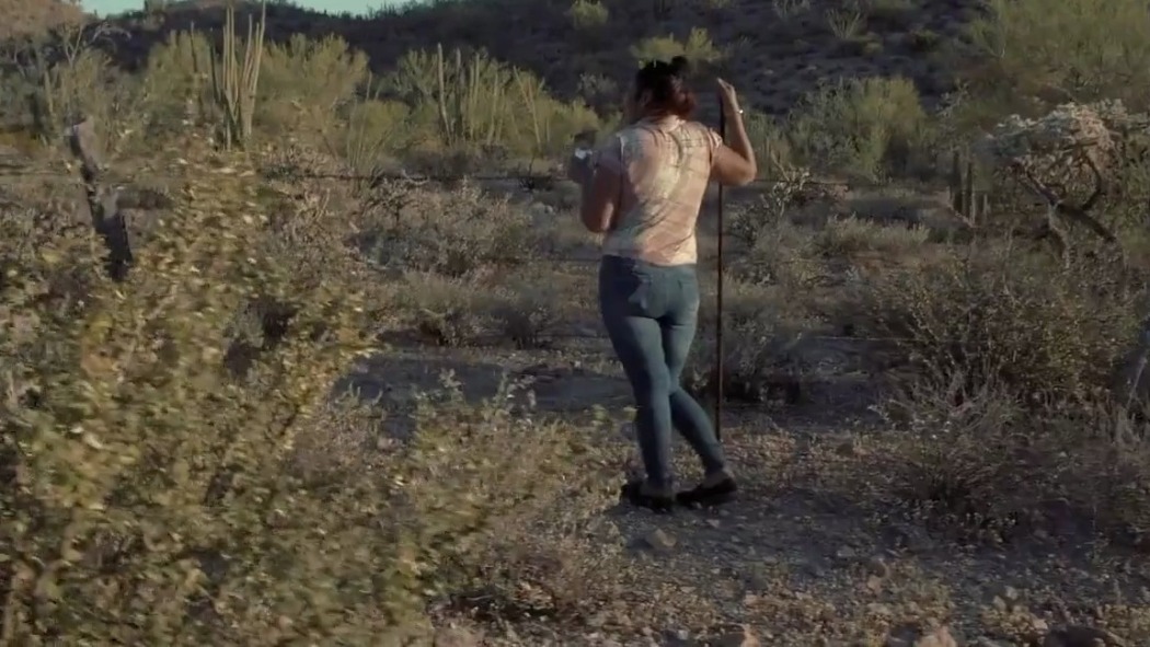 უდაბნოს ჩრდილი  ქართულად -  La sombra del desierto o el Paraíso perdido