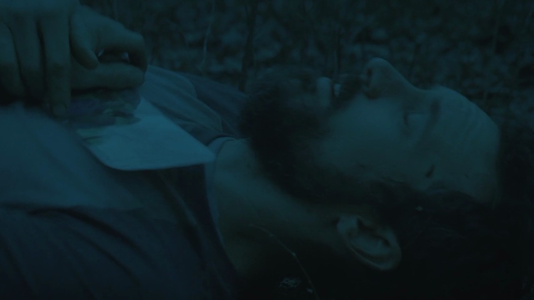 გადარჩენა  ქართულად -  Survive