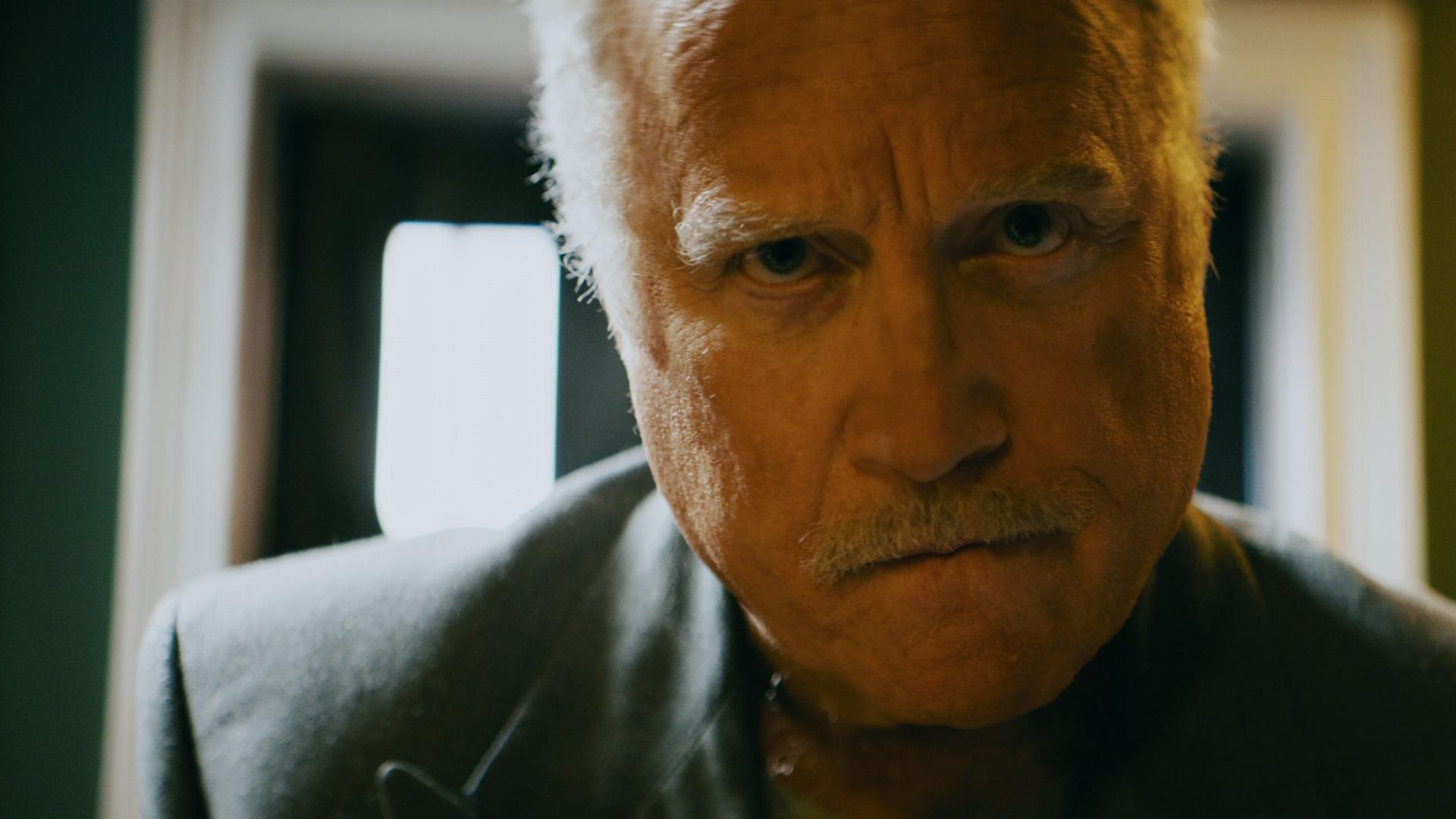 კრიმინალური ისტორია  ქართულად -  Crime Story