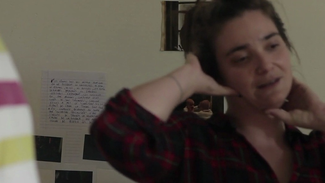 A Cat Dreams About the North