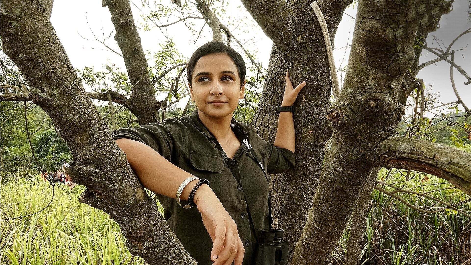 ძუ-ლომი  ქართულად -  Sherni