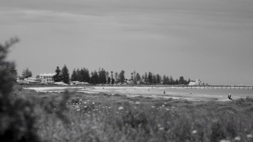 ეს პორტი ადელაიდაა  ქართულად -  This Is Port Adelaide