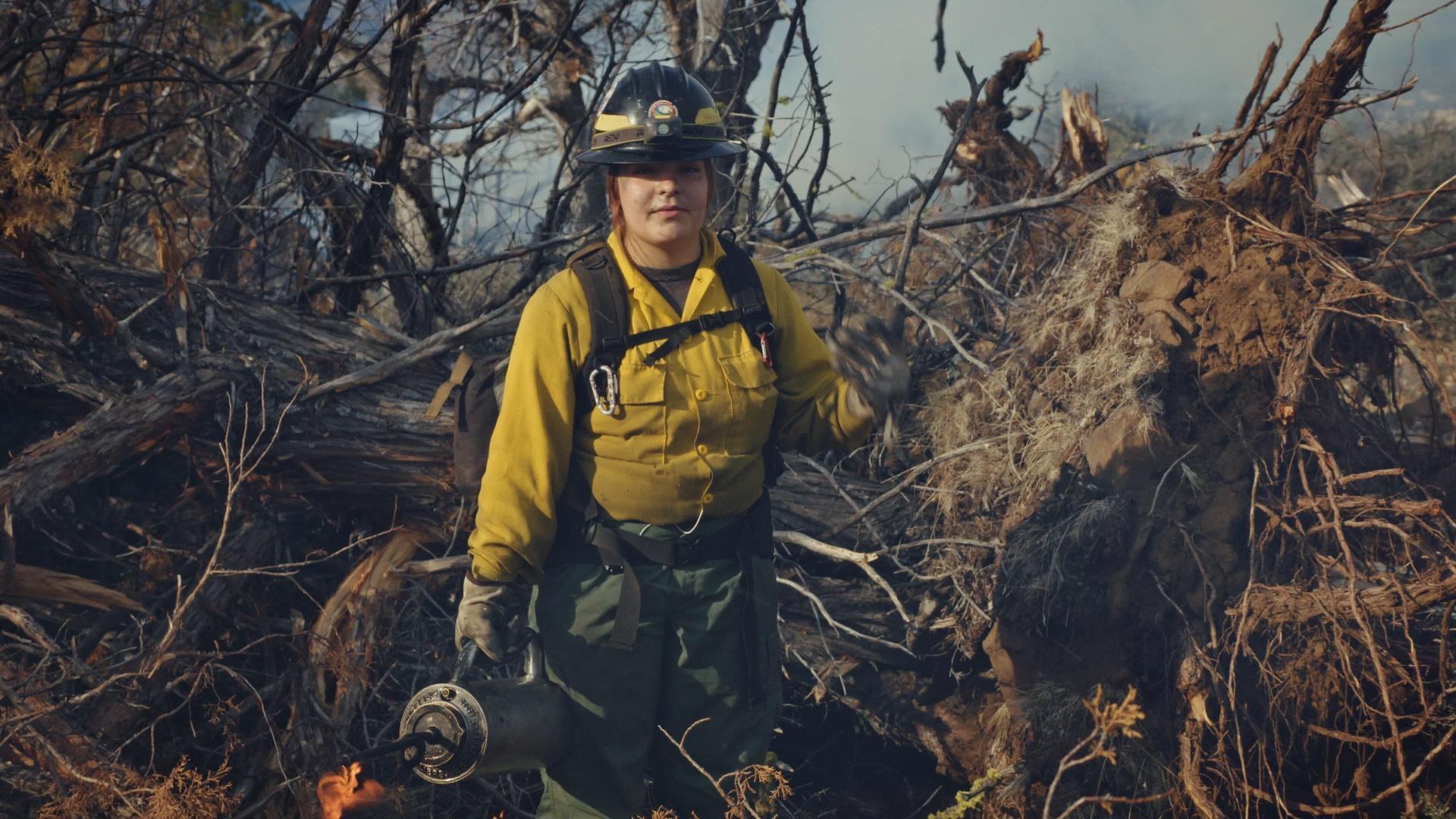 მოიყვანე საკუთარი ბრიგადა  ქართულად -  Bring Your Own Brigade