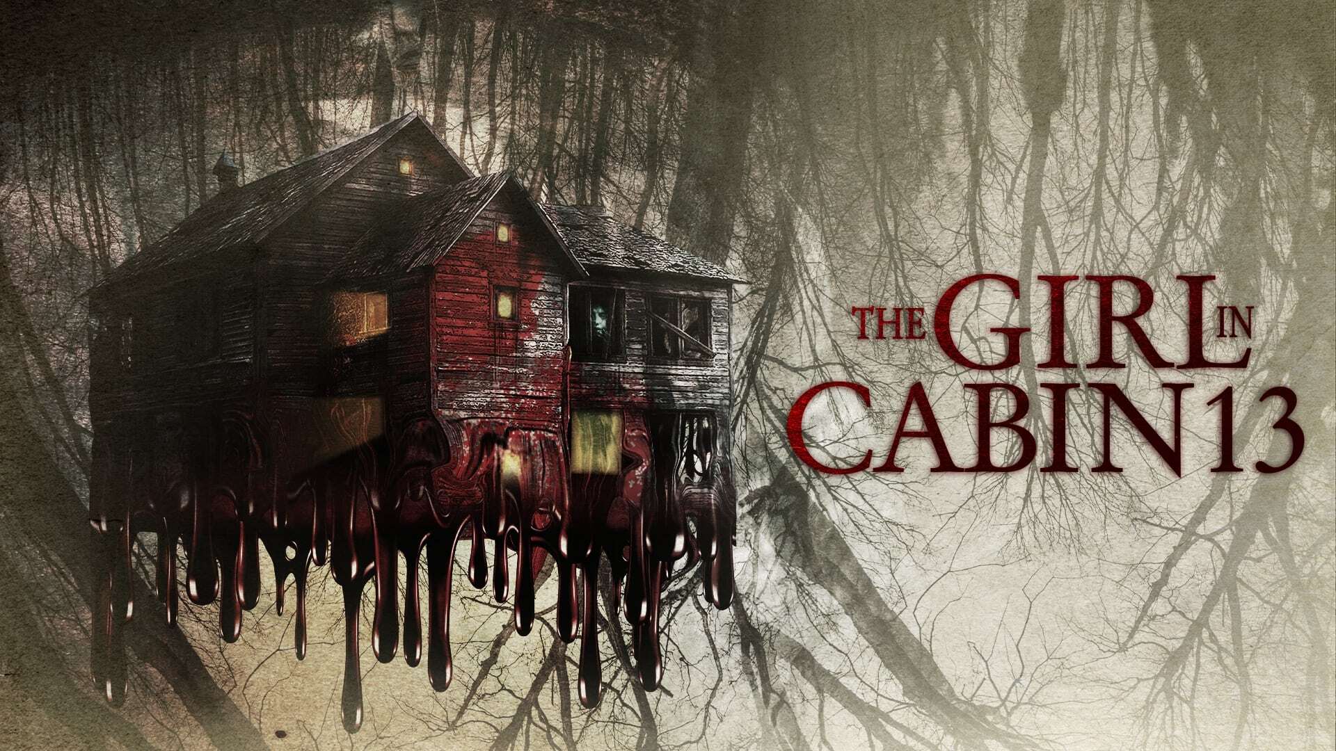გოგონა მეცამეტე ჯიხურში  ქართულად -  The Girl in Cabin 13