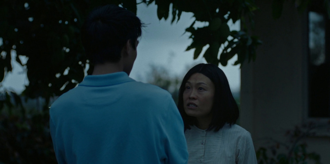 ქაღალდის ვეფხვები  ქართულად -  Paper Tiger