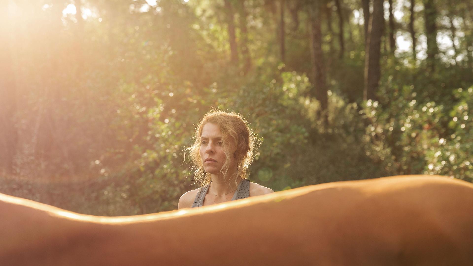 ყველა პატარა საყვარელი ცხენი  ქართულად -  All the Pretty Little Horses