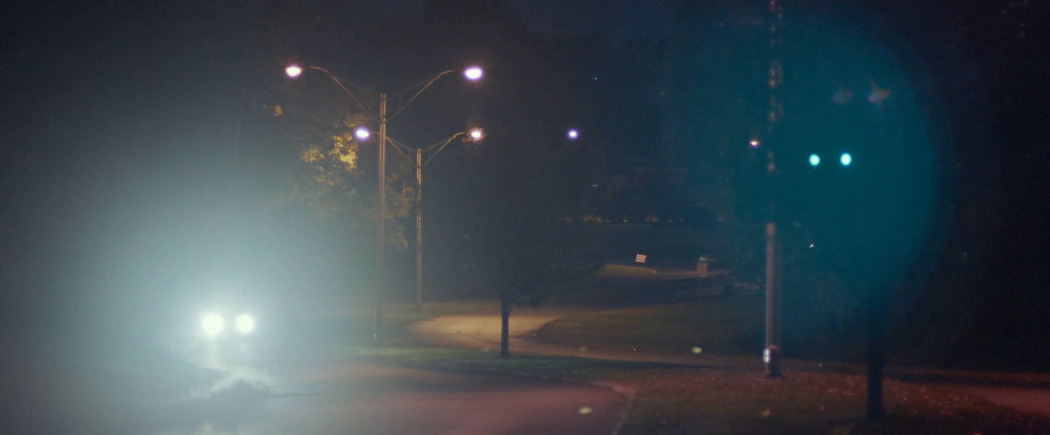 მაღაზიის ქურდები მთელი მსოფლიოდან  ქართულად -  Shoplifters of the World