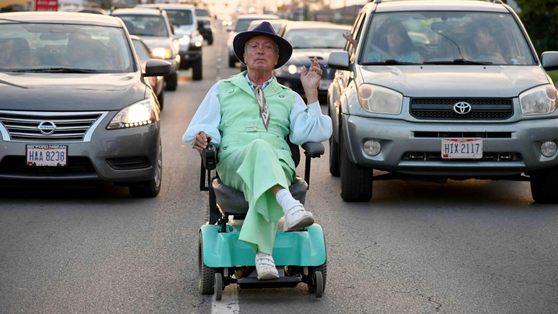 გედის სიმღერა  ქართულად -  Swan Song