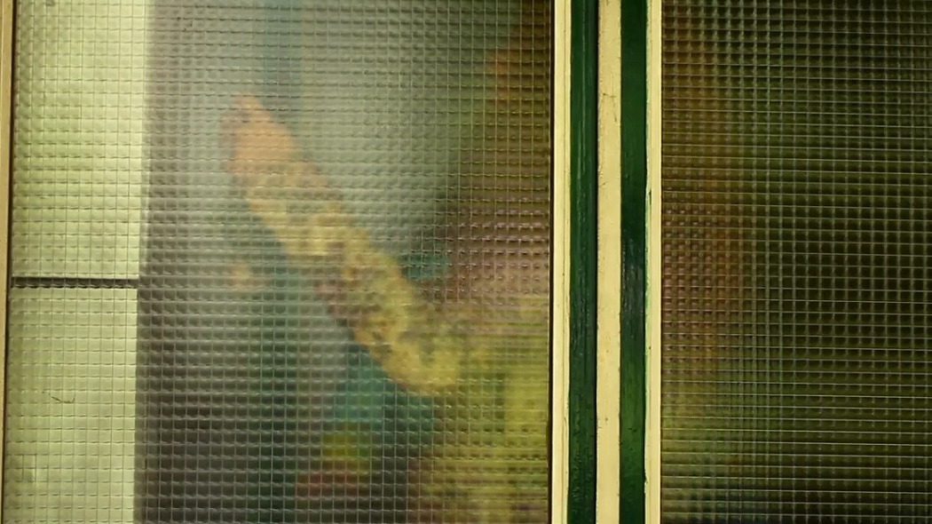 ნადა კადიჩის ქაოტური ცხოვრება  ქართულად -  The Chaotic Life of Nada Kadic