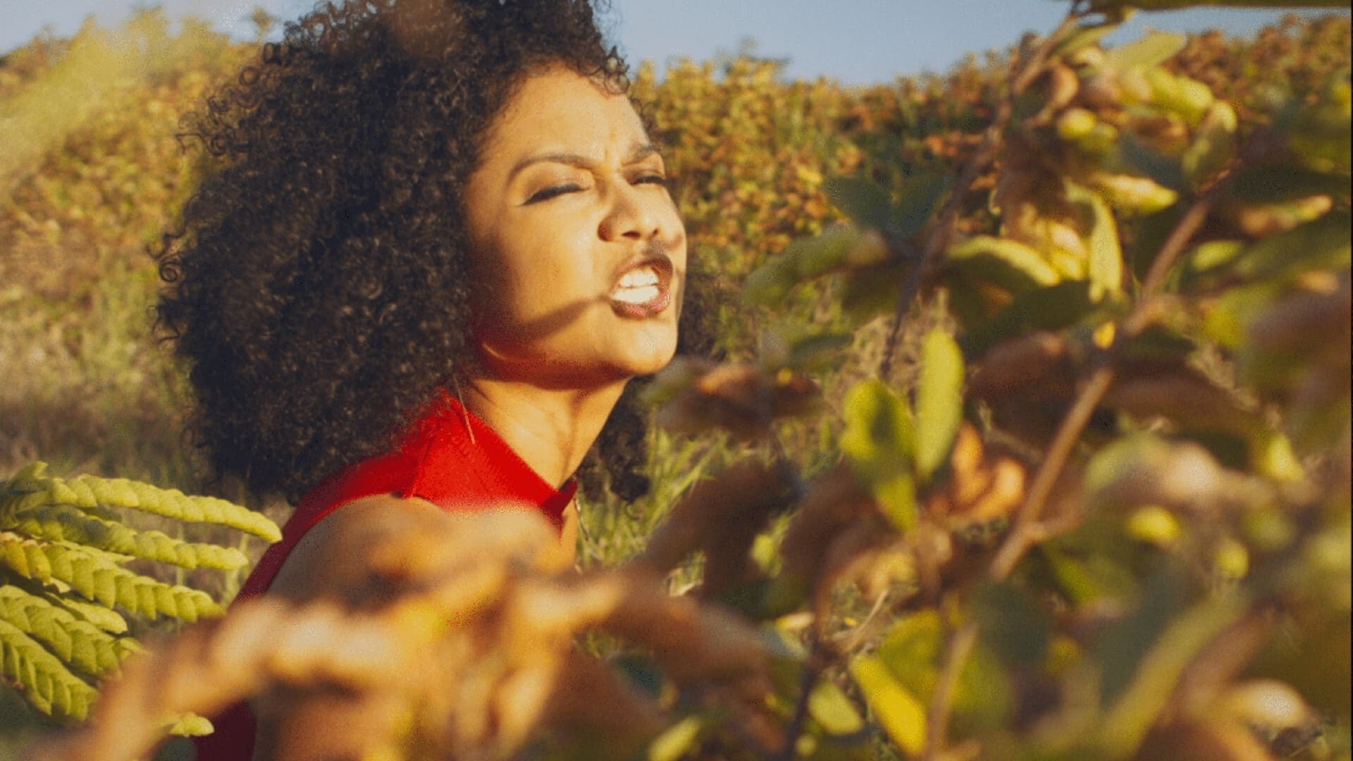 გრეისი და სალემი  ქართულად -  Grace amp Saleem